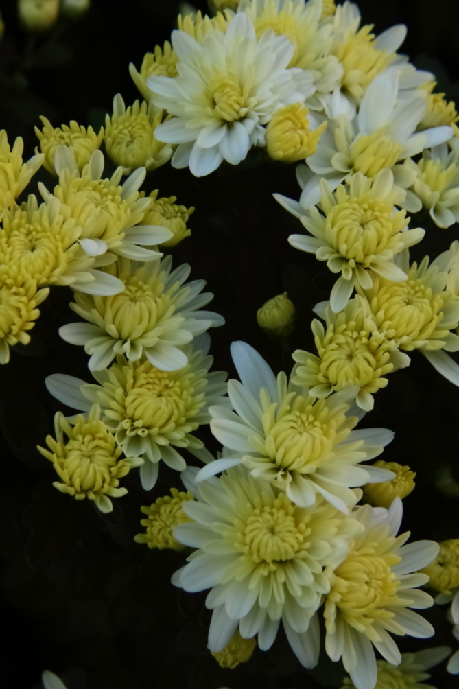 2011 10 08 0228